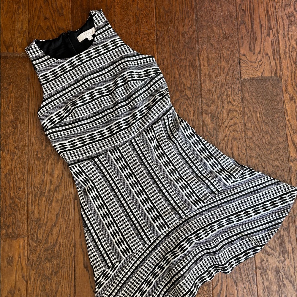 Loft Skater Dress